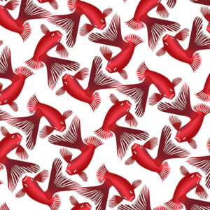 wallpaper Red fish