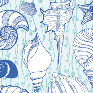 wallpaper Seashells in blue