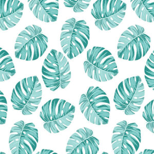 wallpaper Turquoise monstera