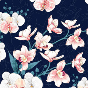 wallpaper White orchid on navy blue