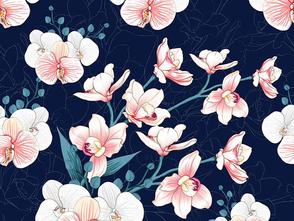 wallpaper White orchid on navy blue